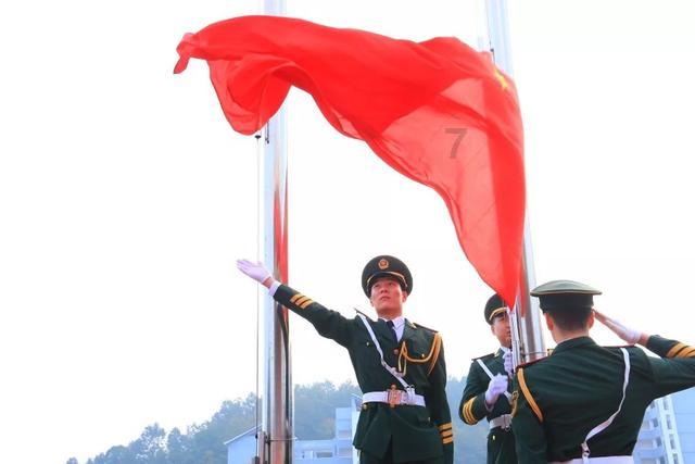 蒿坪毛尖为什么可以缓解三高症状?